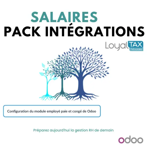 Pack intégrations salaire Odoo